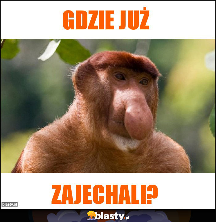 Gdzie już