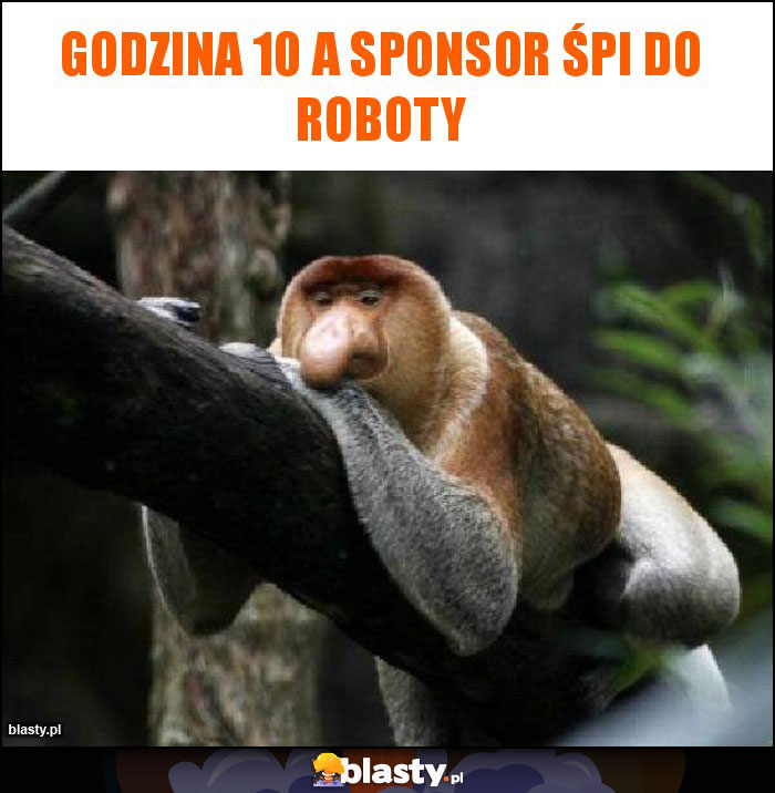 Godzina 10 a sponsor śpi do roboty