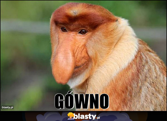 Gówno