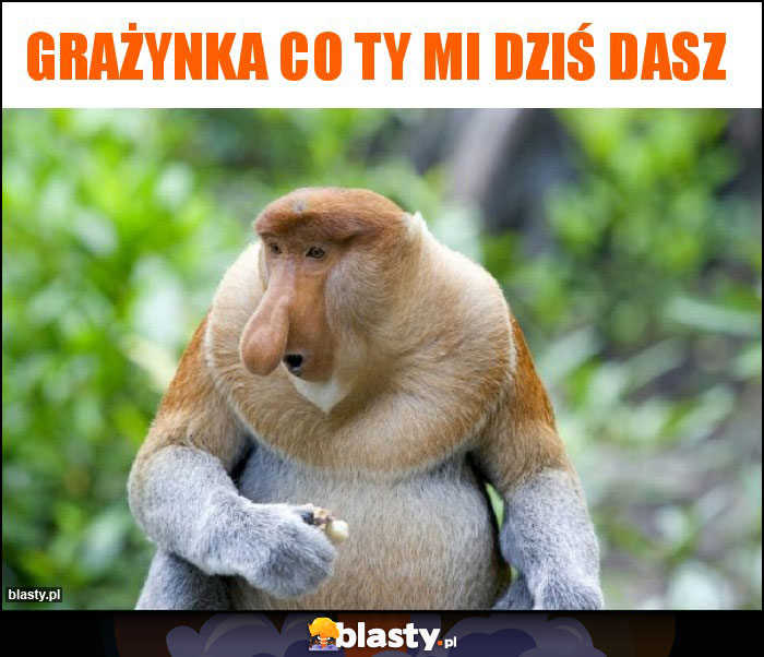 Grażynka co ty mi dziś dasz