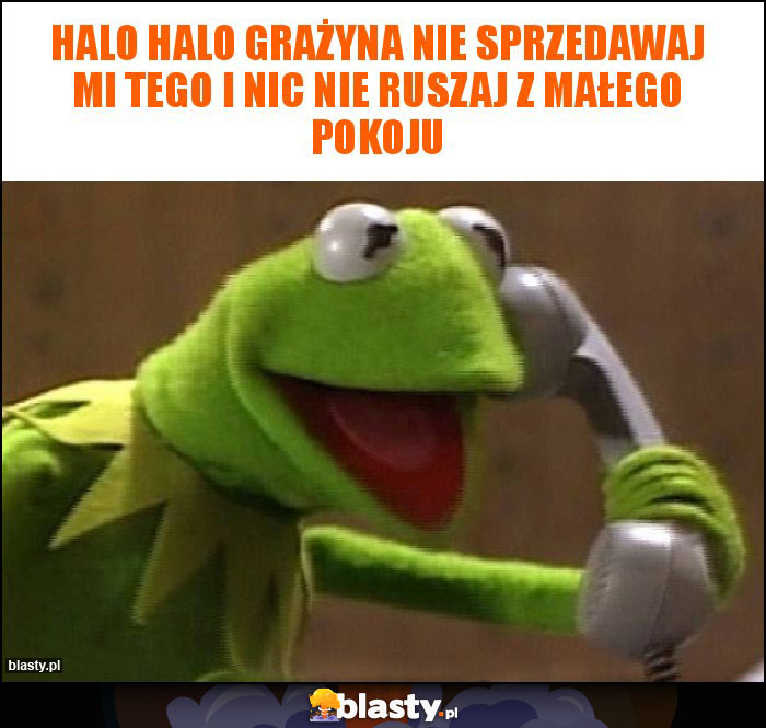 Halo halo Grażyna nie sprzedawaj mi tego i nic nie ruszaj z małego pokoju