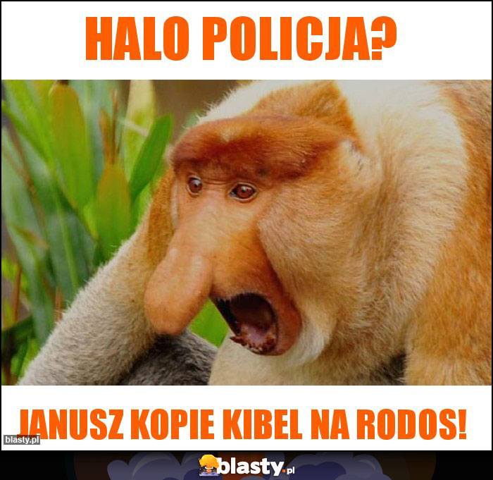 Halo policja?