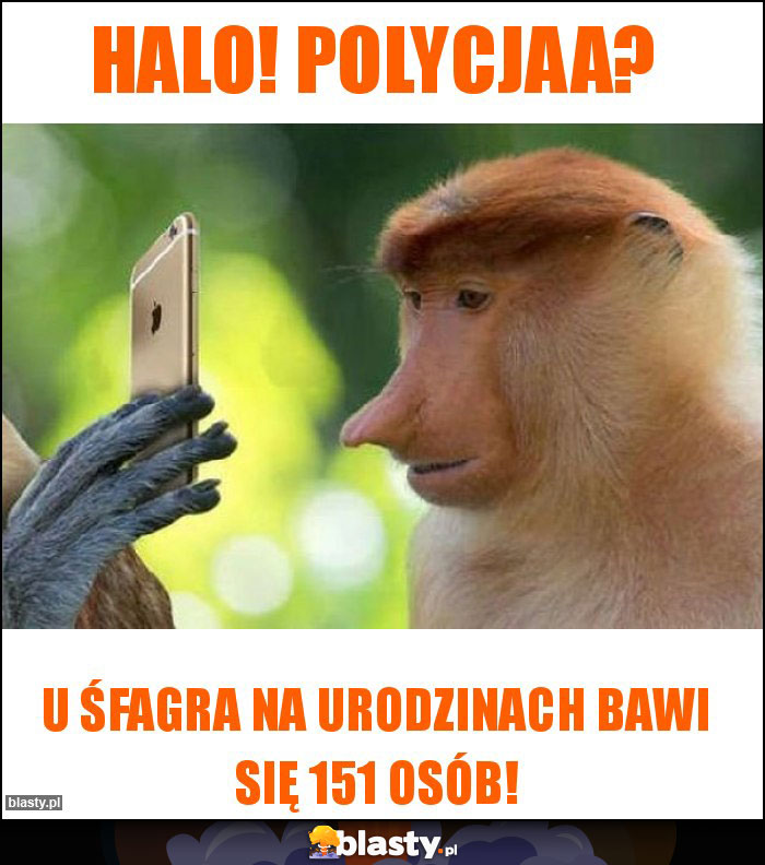 Halo! Polycjaa?