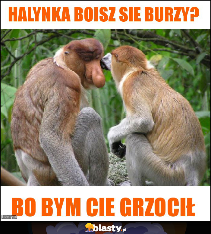 halynka boisz sie burzy?