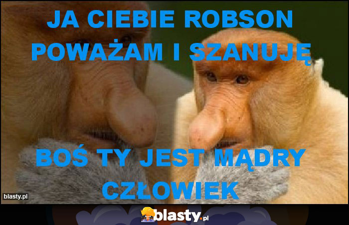 Ja Ciebie Robson poważam i szanuję