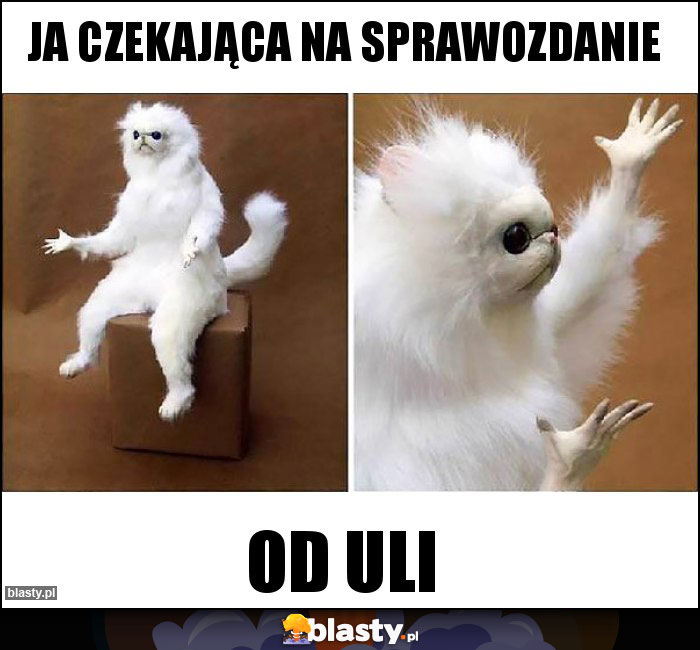 Ja czekająca na sprawozdanie