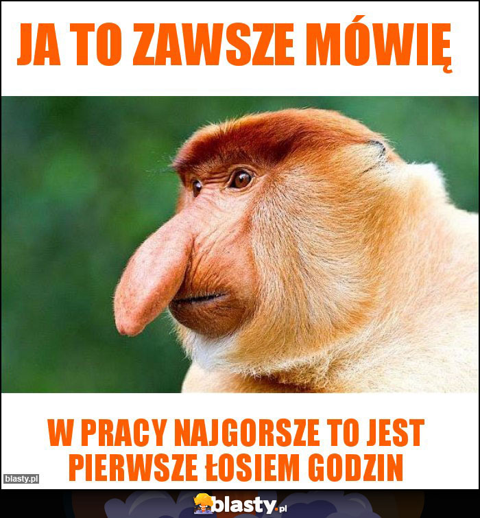 Ja to zawsze mówię