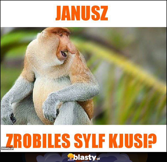 Janusz