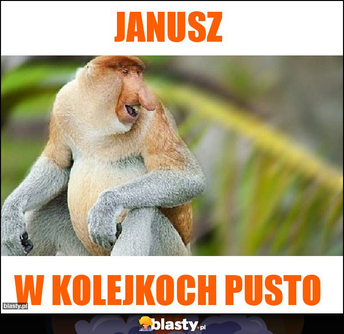 Janusz