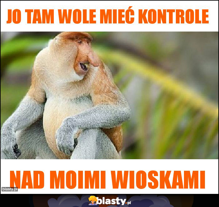 Jo tam wole mieć kontrole