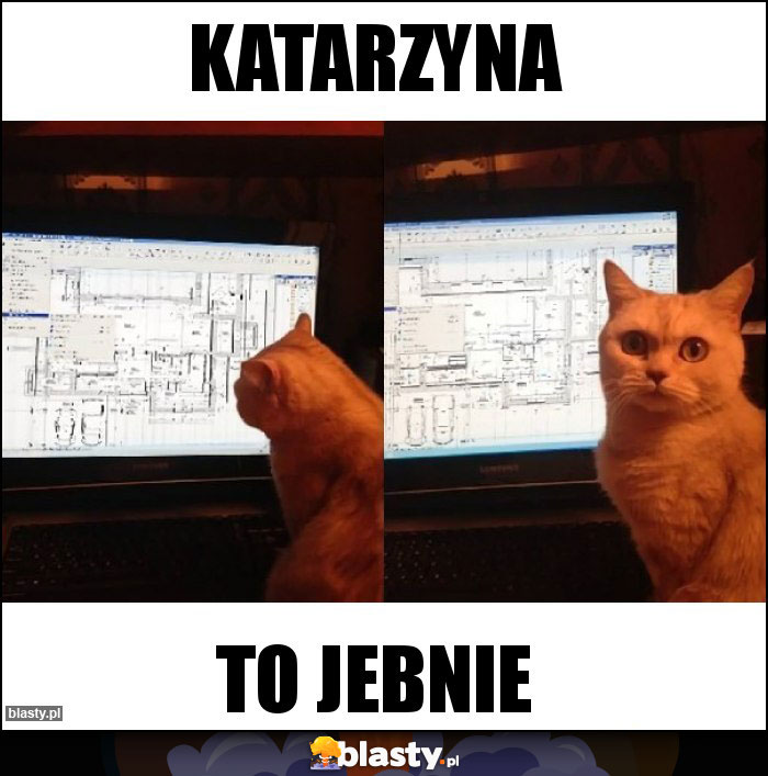 Katarzyna