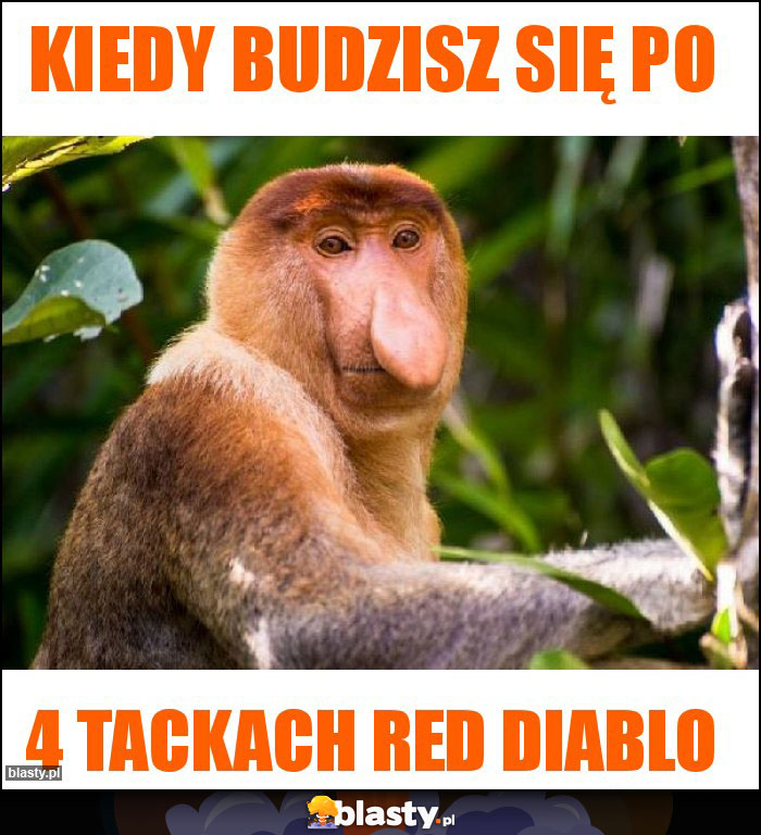 Kiedy budzisz się po