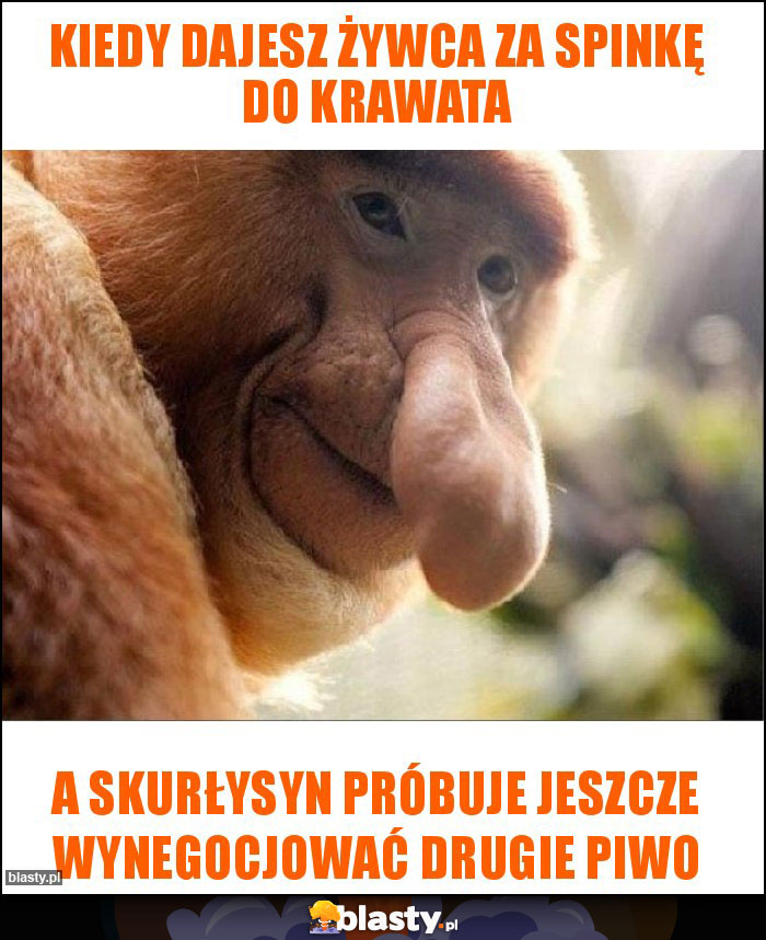 Kiedy dajesz żywca za spinkę do krawata