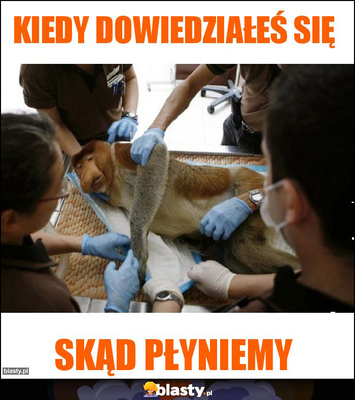 Kiedy dowiedziałeś się