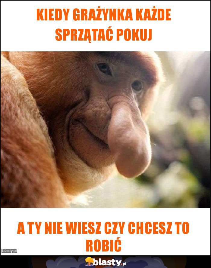 Kiedy Grażynka każde sprzątać pokuj