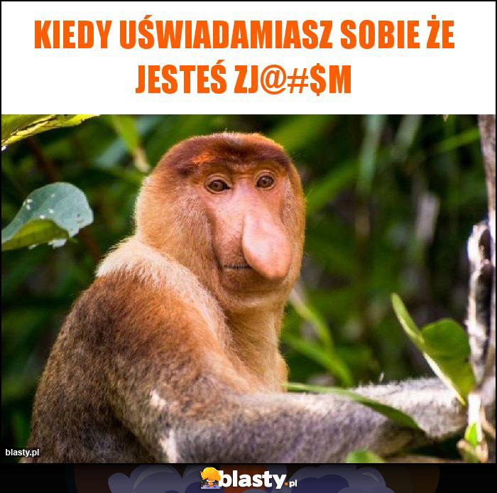 Kiedy uświadamiasz sobie że jesteś zj@#$m