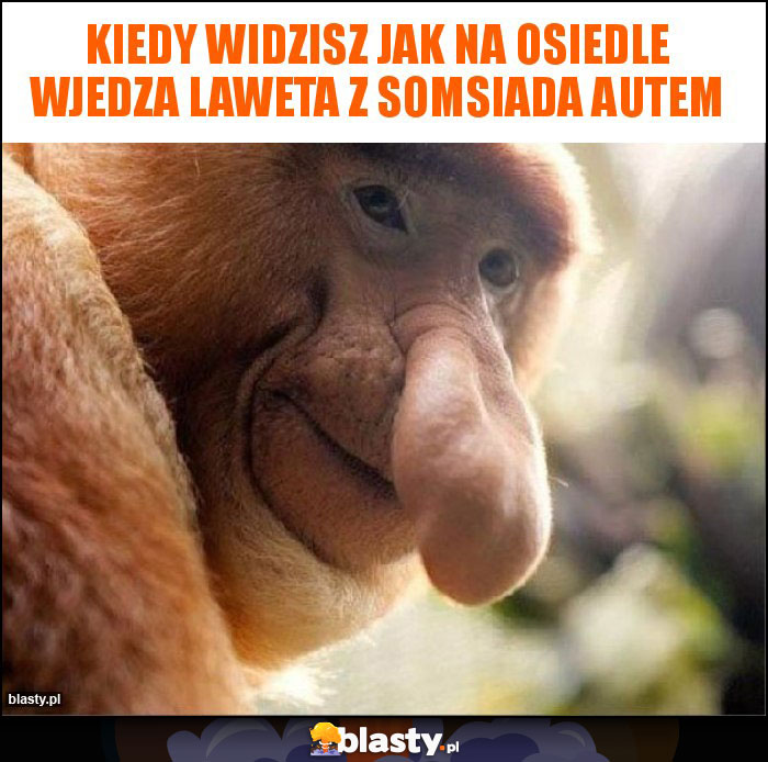 kiedy widzisz jak na osiedle wjedza laweta z somsiada autem