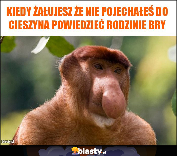 Kiedy żałujesz że nie pojechałeś do Cieszyna powiedzieć rodzinie Bry