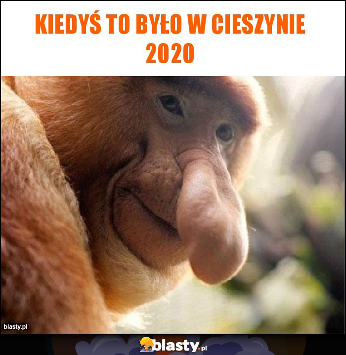 Kiedyś to było w Cieszynie 2020