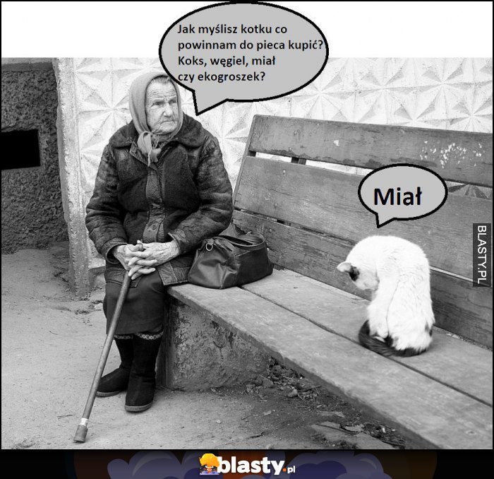 Koks, miał