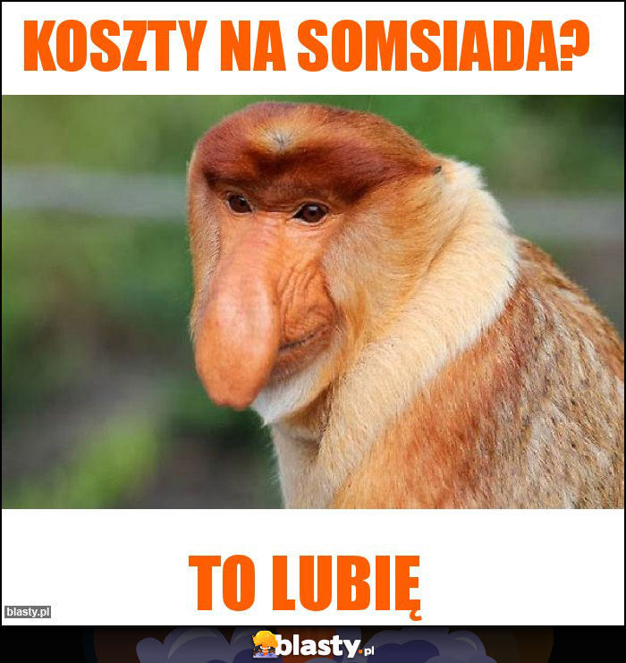 KOSZTY NA SOMSIADA?