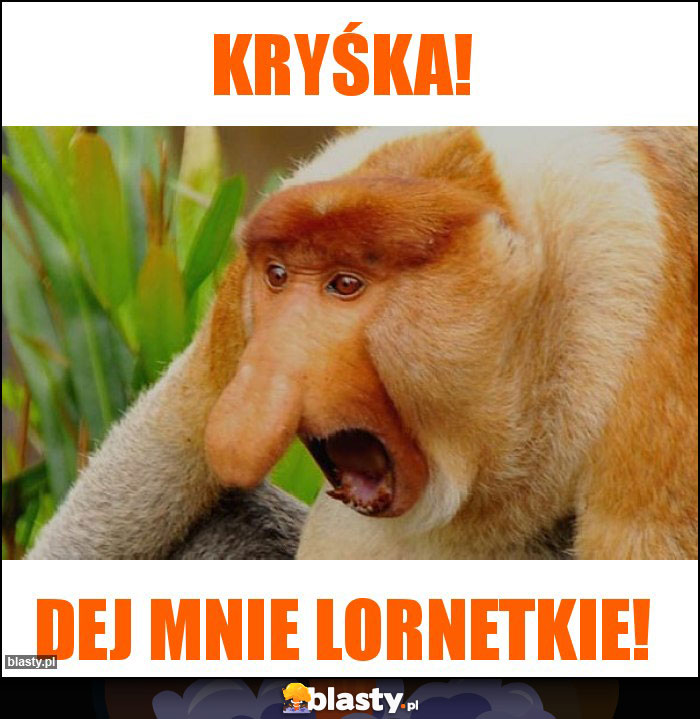 Kryśka!