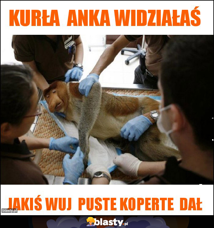 Kurła  Anka widziałaś