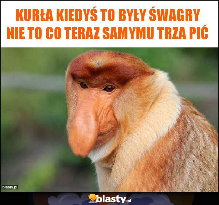 kurła kiedyś to były śwagry nie to co teraz samymu trza pić