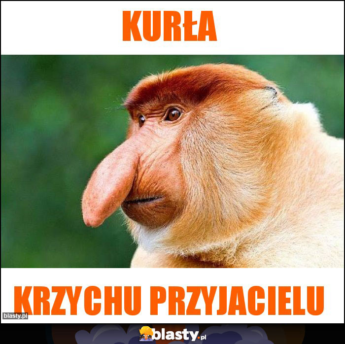 Kurła