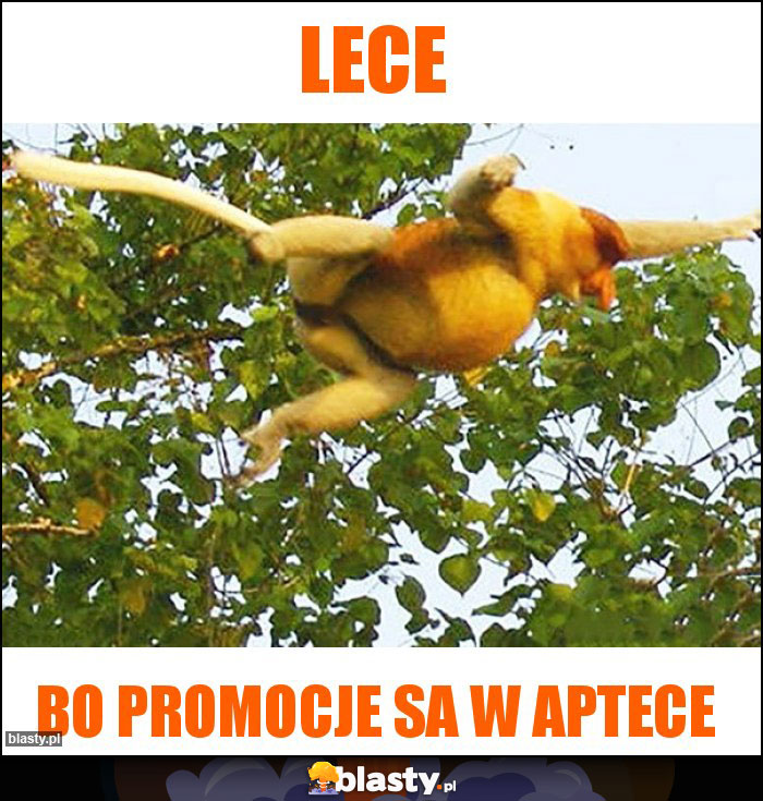 Lece