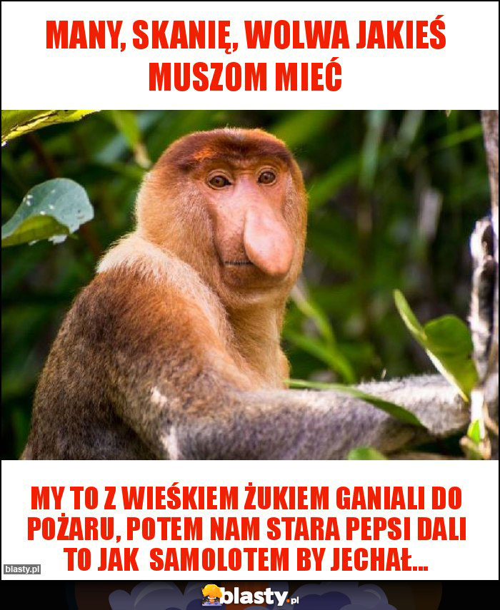 Many, Skanię, Wolwa jakieś muszom mieć