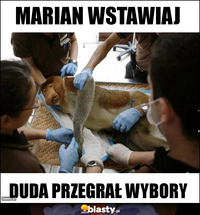 Marian wstawiaj