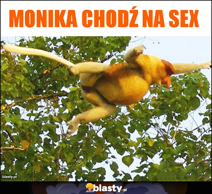 Monika Chodź na sex