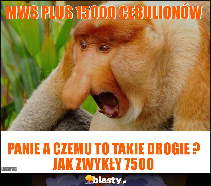 MWS plus 15000 cebulionów