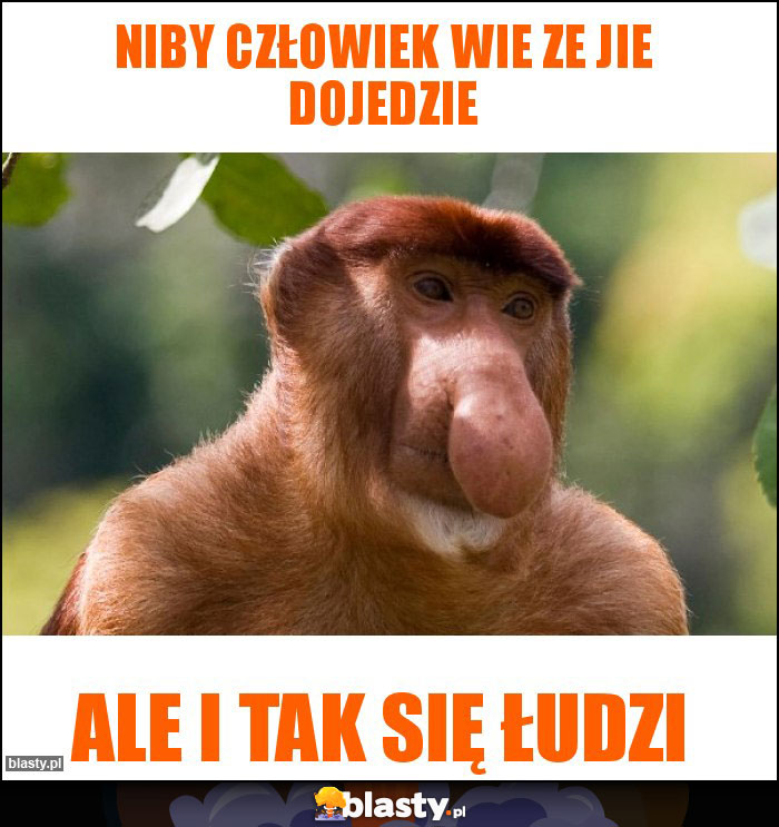 Niby człowiek wie ze jie dojedzie