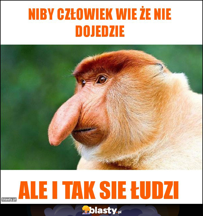 Niby człowiek wie że nie dojedzie