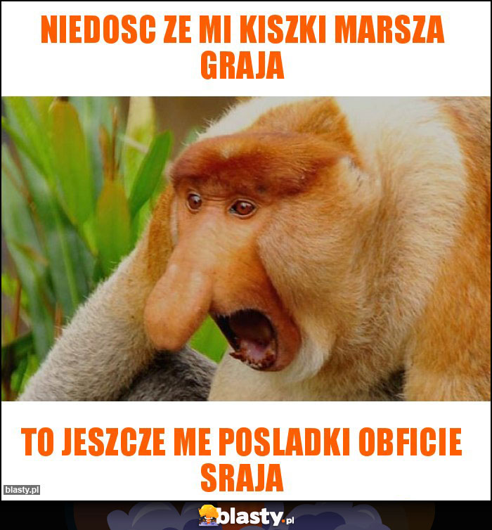 Niedosc ze mi kiszki marsza graja