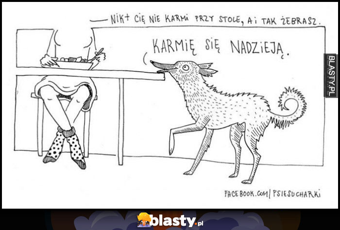 Nikt Cię nie karmi przy stole