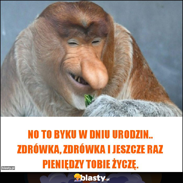 No to byku w dniu urodzin.. Zdrówka, zdrówka i jeszcze raz pieniędzy Tobie życzę.