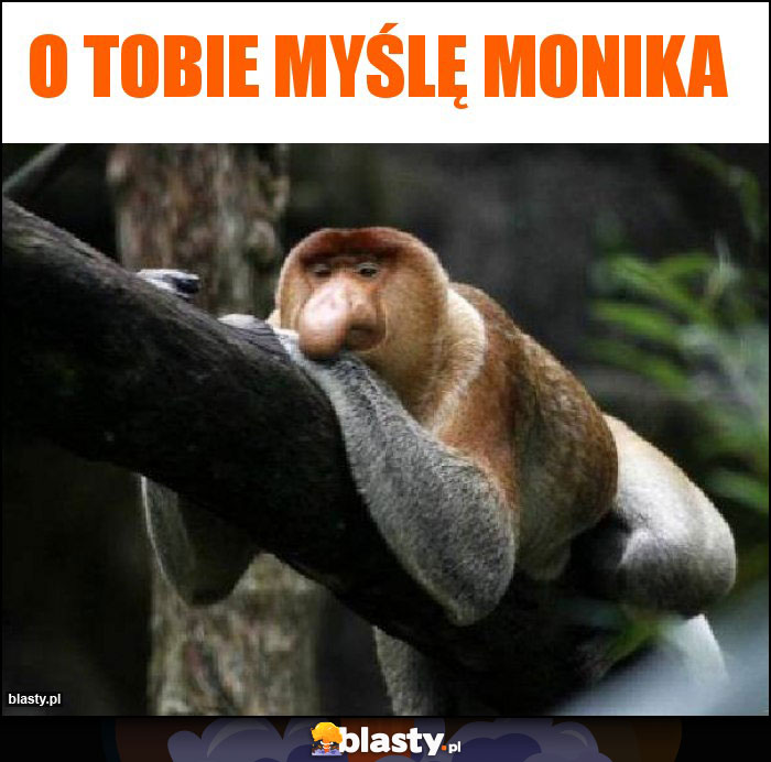 O Tobie myślę Monika