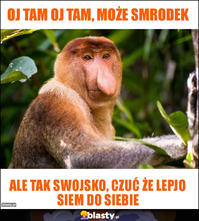 Oj tam oj tam, może smrodek