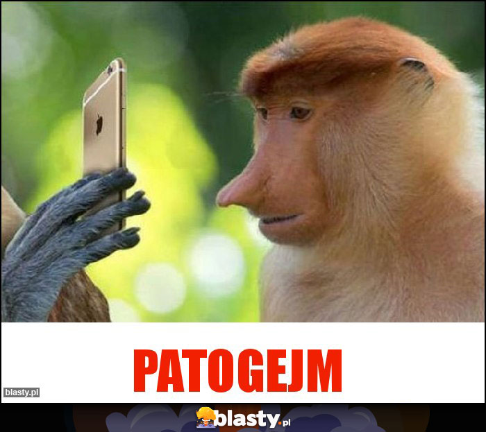 PatOgejm