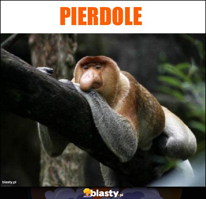 pierdole