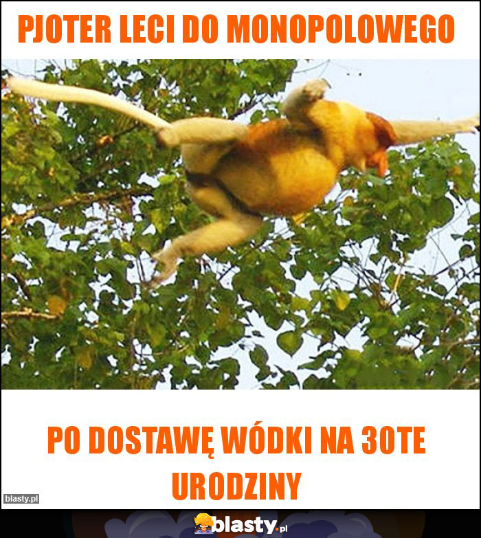 Pjoter leci do monopolowego