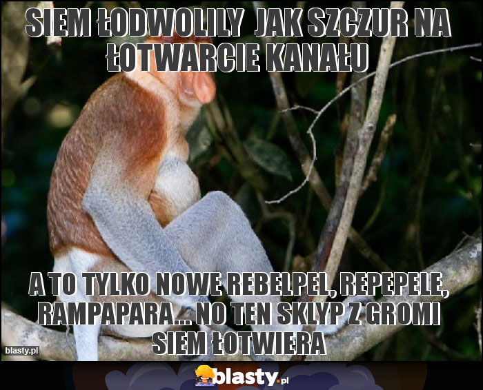 Siem łodwolily  jak szczur na łotwarcie kanału