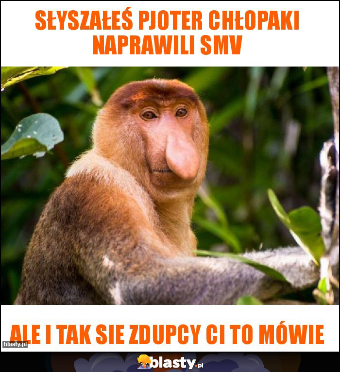 SŁYSZAŁEŚ PJOTER CHŁOPAKI NAPRAWILI SMV