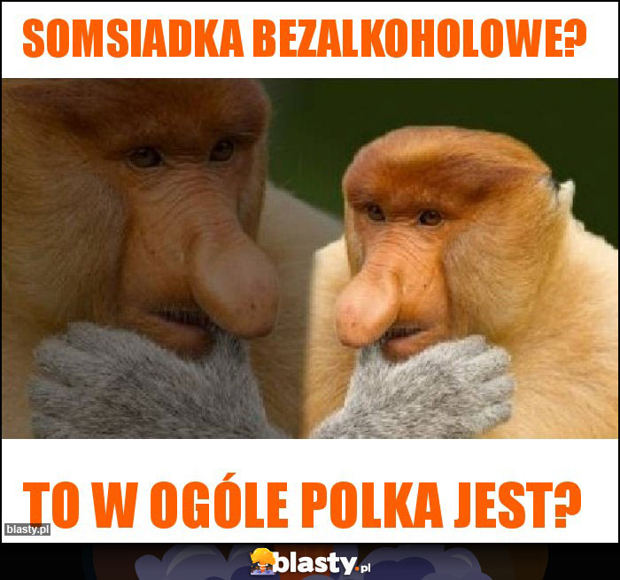 Somsiadka bezalkoholowe?