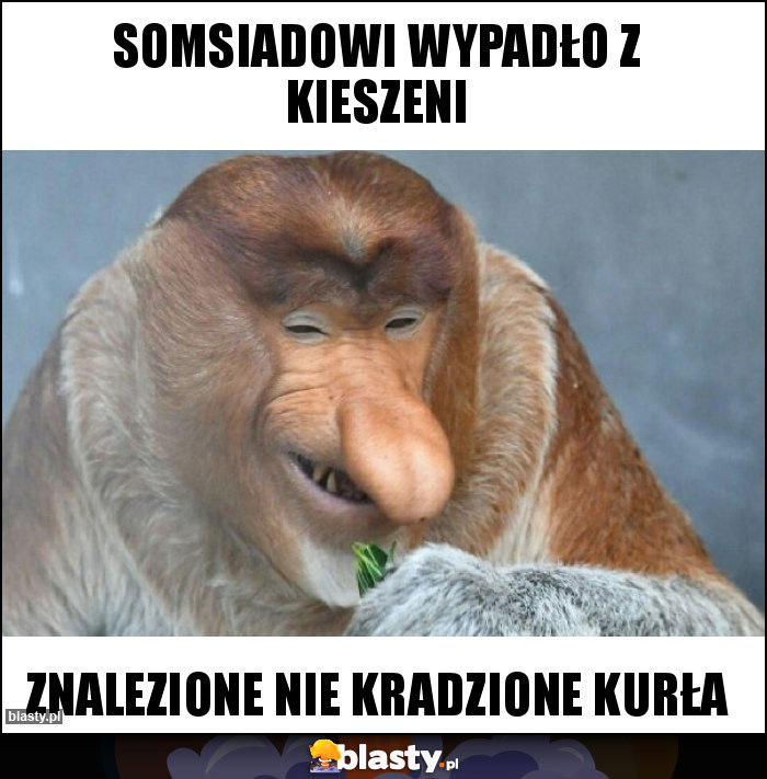 SOMSIADOWI WYPADŁO Z KIESZENI