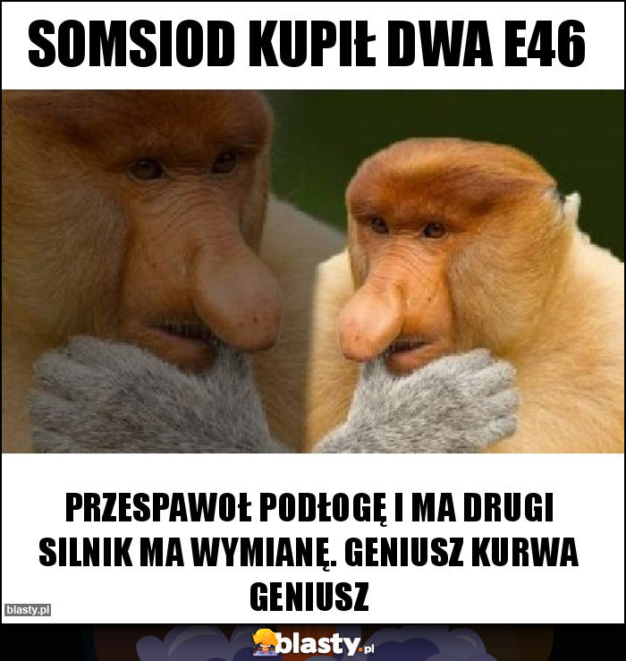 Somsiod kupił dwa e46