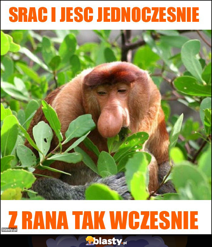 Srac i jesc jednoczesnie